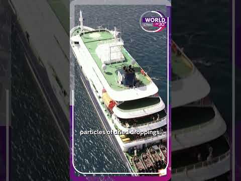 Three dead in cruise ship virus outbreak