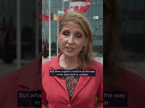 Russian drone incident on NATO soil: what happens now? | DW News