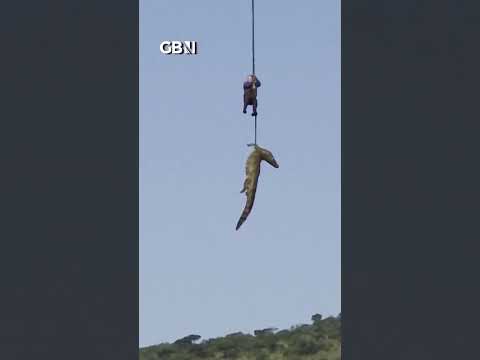 Crocodile HUNG from helicopter after REPORTEDLY EATING missing man