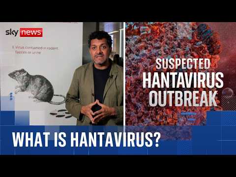 Suspected hantavirus outbreak | How does it spread?