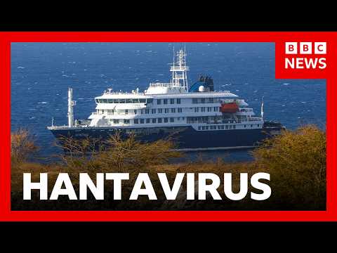 Second hantavirus case confirmed after three die in suspected cruise ship outbreak | BBC News