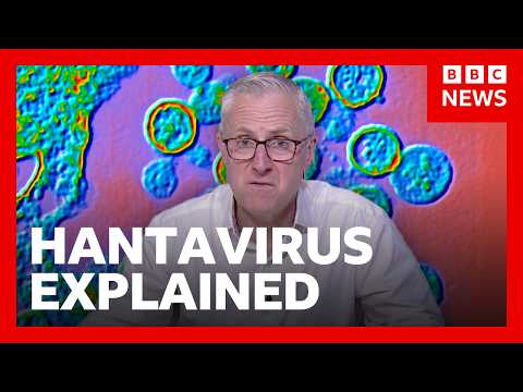 What is hantavirus and how is it spread? | BBC News