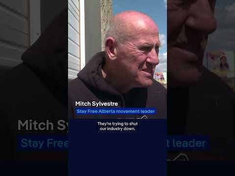 Canada separatists want referendum | DW News