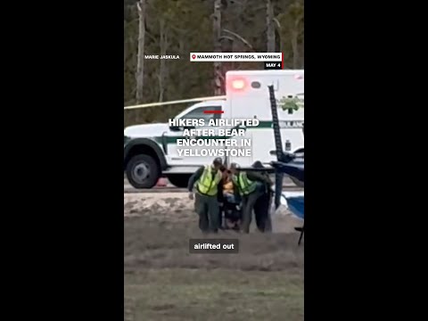Hikers airlifted after bear encounter in Yellowstone