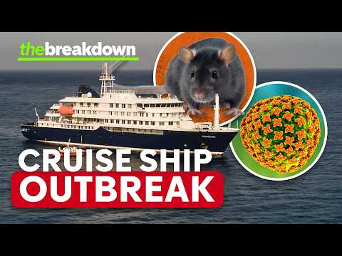 Hantavirus outbreak: Where does the disease confirm and how does it spread?