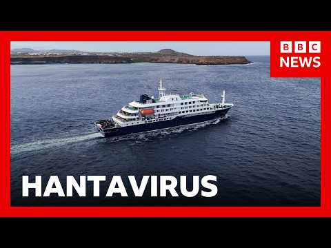 World Health Organization give update on cruise ship hantavirus outbreak | BBC News