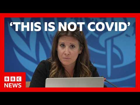 Hantavirus outbreak not the start of a pandemic, says World Health Organization | BBC News
