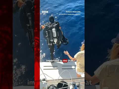 Rare footage captured of Great White shark in Mediterranean Sea. #Shark #Ocean #BBCNews
