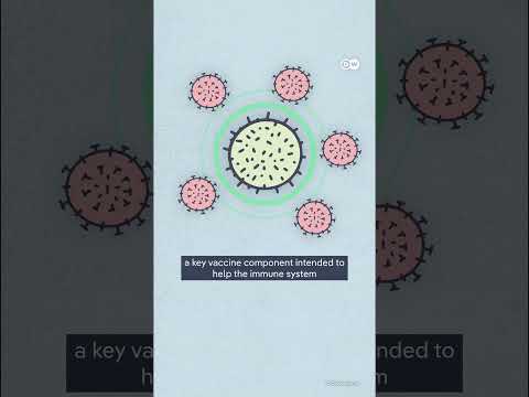 AI just designed a vaccine! | DW News