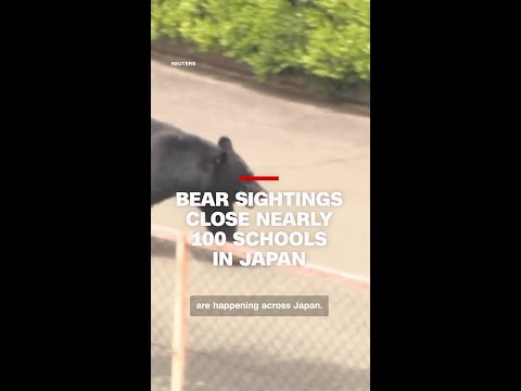 Bear sightings close nearly 100 schools in Japan
