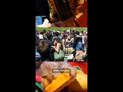 Mango meetup in San Francisco turns into ‘Mango Tango’ with hundreds