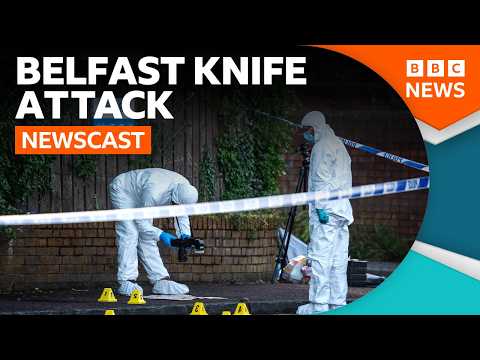 What we know about the Belfast knife attack so far | BBC Newscast