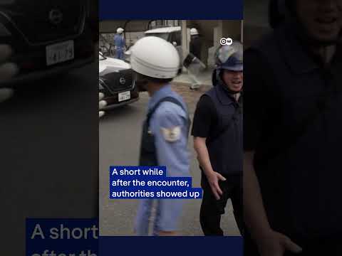 Bear captured after roaming Japan streets | DW News