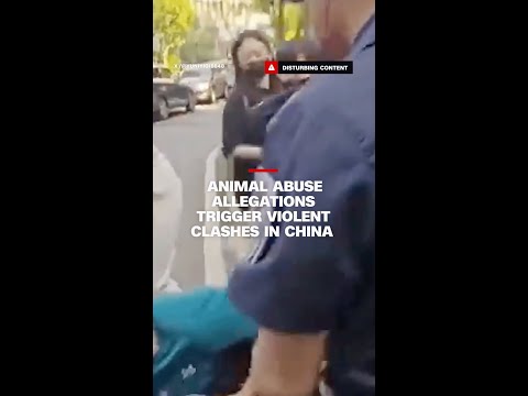 Animal abuse allegations trigger violent clashes in China