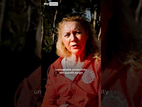 Meet the judge who defied the Italian mafia