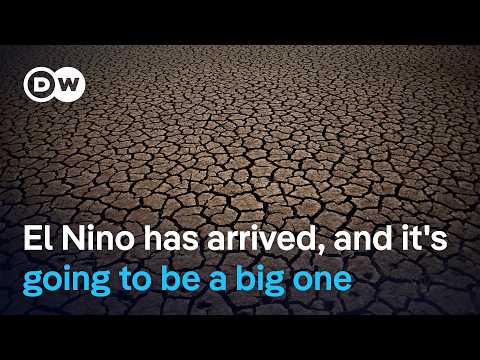 Scientists fear the latest warming cycle will bring floods, droughts and fires | DW News