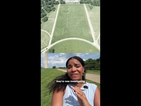 Huge ‘8647’ phrase mysteriously etched onto National Mall grass