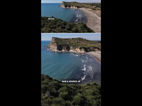 Why Flamingos are the symbol of protests in Albania