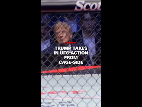 Trump takes in UFC action from cage-side seat