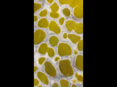 Canada’s Spotted Lake is a geological wonder