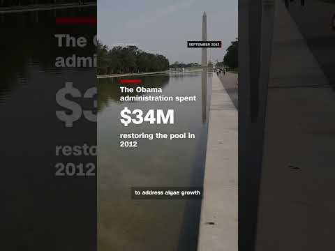 Why the Reflecting Pool in Washington DC looks green