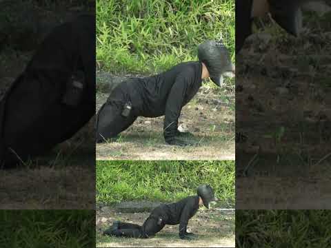 Man dresses as bear in Japan for intrusion drills