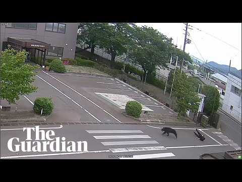 CCTV shows moment bear chases man in Fukushima, Japan