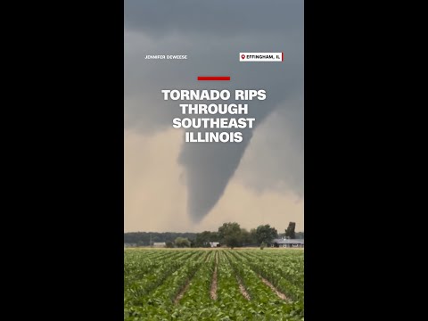Tornado rips through southeast Illinois
