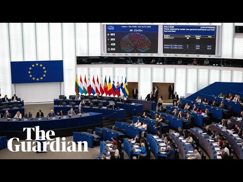 Rightwing MEPs chant ‘send them back’ after controversial deportation plans are passed