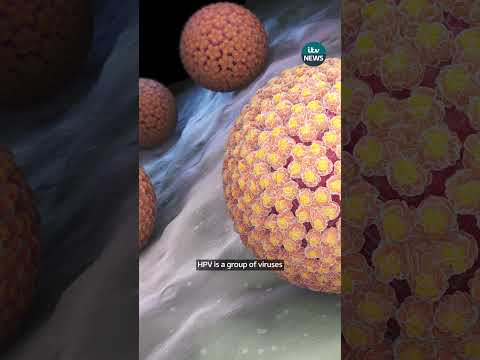 The HPV vaccine has saved around 200 women in England from dying of cervical cancer