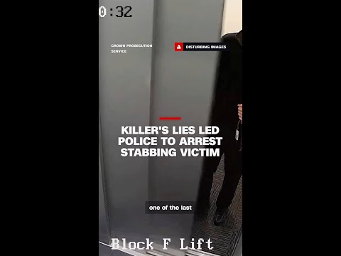 Killer’s lies led police to arrest stabbing victim