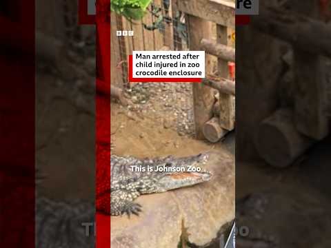 Man arrested on suspicion of attempted murder after boy injured in UK crocodile enclosure. #BBCNews