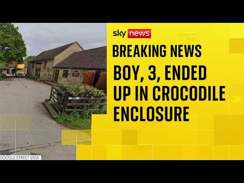 Toddler in critical condition after crocodile enclosure incident – what we know so far