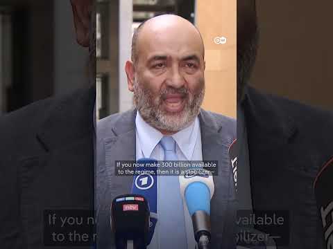 Iran deal is an ‘admission of failure,’ says German-Iranian politician | DW News