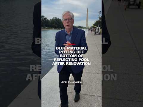 Blue material peeling off bottom of Reflecting Pool after renovation