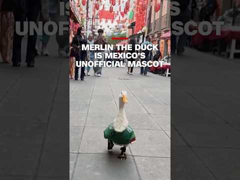 Merlin The Duck is Mexico’s unofficial mascot