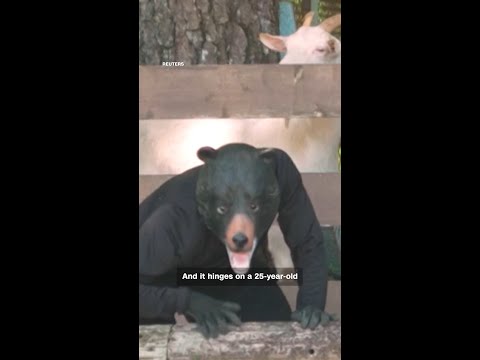 Imagine showing up to work and finding out you’re the bear