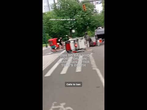Push to ban NYC horse-drawn carriages after teen’s death