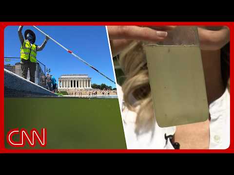 Interior dept says Reflecting Pool is ‘crystal clear’