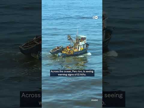 How El Nino harms the global economy | DW News