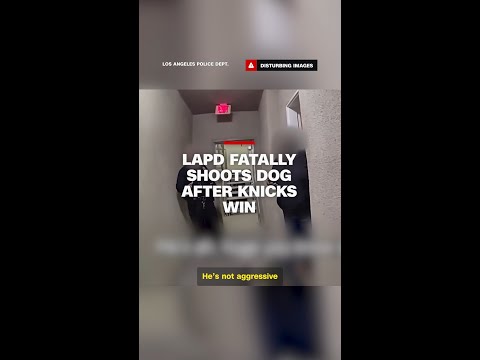 LAPD fatally shoots dog after Knicks win