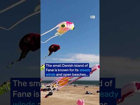 25,000 kites fly at world’s largest kite festival | DW News