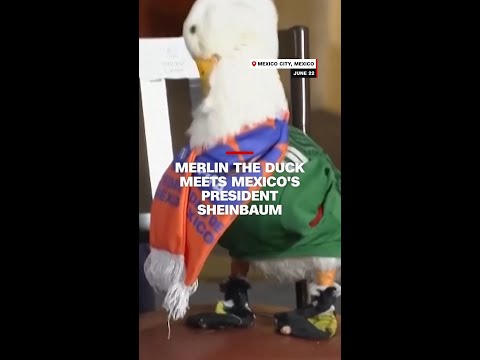 Merlin the duck meets Mexico’s President Sheinbaum