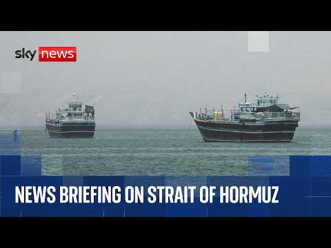 International Maritime Organisation holds briefing on Strait of Hormuz