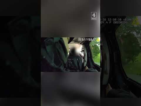 Dramatic moment van driver helps armed police catch fleeing suspect