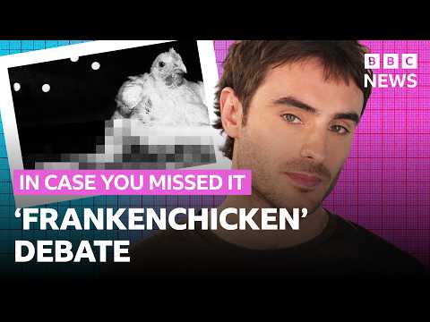 Animal welfare vs sustainability – the ‘Frankenchicken’ debate explained | In Case You Missed It