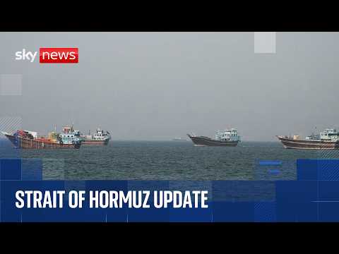 International Maritime Organization gives update on Strait of Hormuz