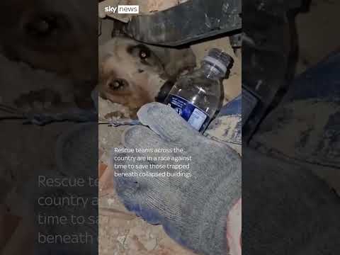 Moment firefighters save puppy from rubble in Venezuela