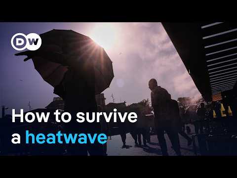 Deadly heat without AC: What Europe must learn before next summer  | DW News