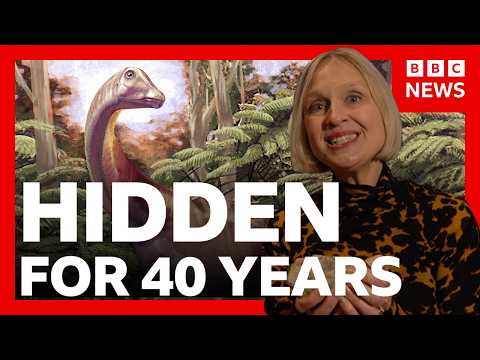 Antarctica’s first dinosaur fossil found in a drawer | BBC News